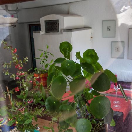 Bed And Breakfast Da Toldo Russo Екстер'єр фото