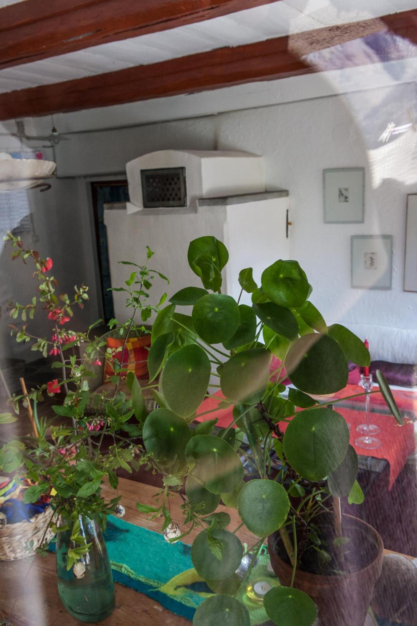 Bed And Breakfast Da Toldo Russo Екстер'єр фото